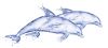 изображение DeepBlue  Дельфин