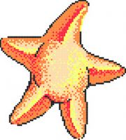 Estrella