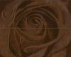 изображение Look Decor Rosa-2 Chocolate