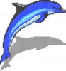 Увеличить изображение плитки Dolphin