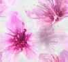 изображение Bloom Панно розовое