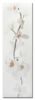 изображение Decorado Orquidea