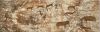 Увеличить изображение плитки Altamira Albarracin Decor-2