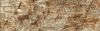 Увеличить изображение плитки Altamira Albarracin Decor-5